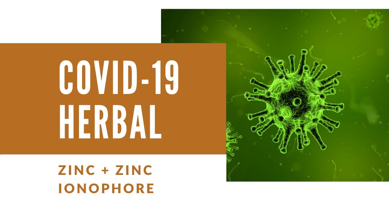 Zinc Ionophore (Quercetin) and Zinc Natural Food/Herbal YouTube