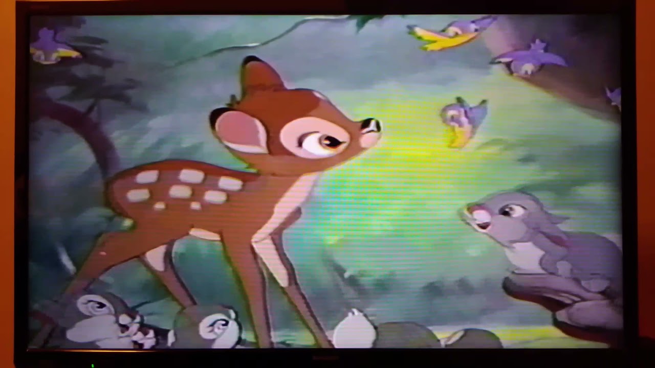 トイストーリー 00年版 ディズニーvhs 予定集2 Youtube