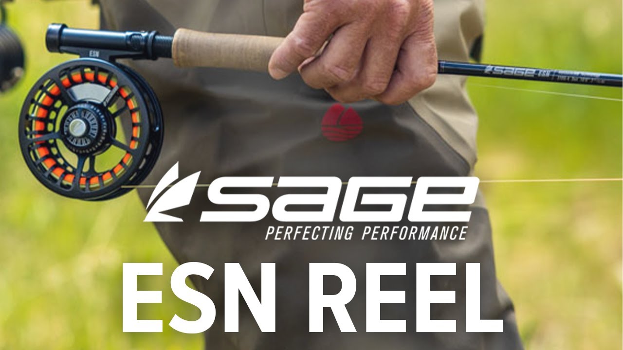 Sage ESN Reel Hands On Look YouTube
