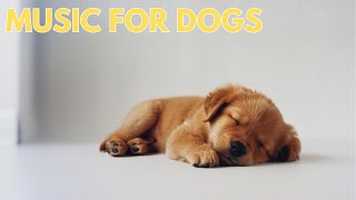 20 Hour Dog Calming Music For Dogs♫ Anti Separation Anxiety Relief💛🐶 Dog Sleep Music by Dog Music Dreams 1,359 views 1 month ago 20 hours