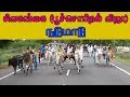 ETSS - sivagangai poochsorithal vilz(nadumaadu-13.07.2018)