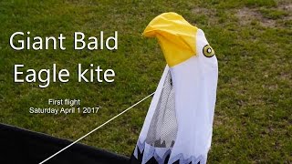 Giant Bald Eagle kite  first flight