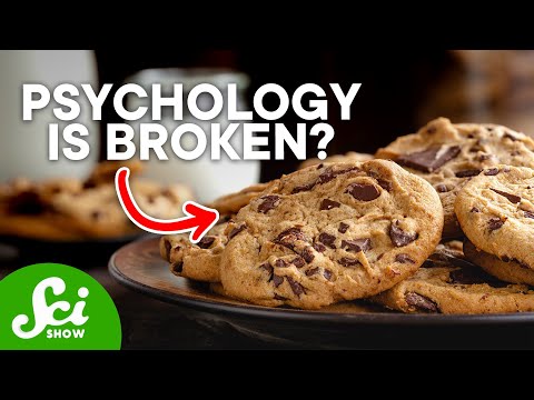 The Problem with Willpower and Self-Control | A Psychology Experiment thumbnail