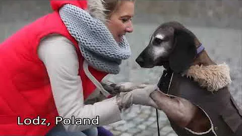 Pharrell - Happy - Worldwide Compilation   #HappyDay