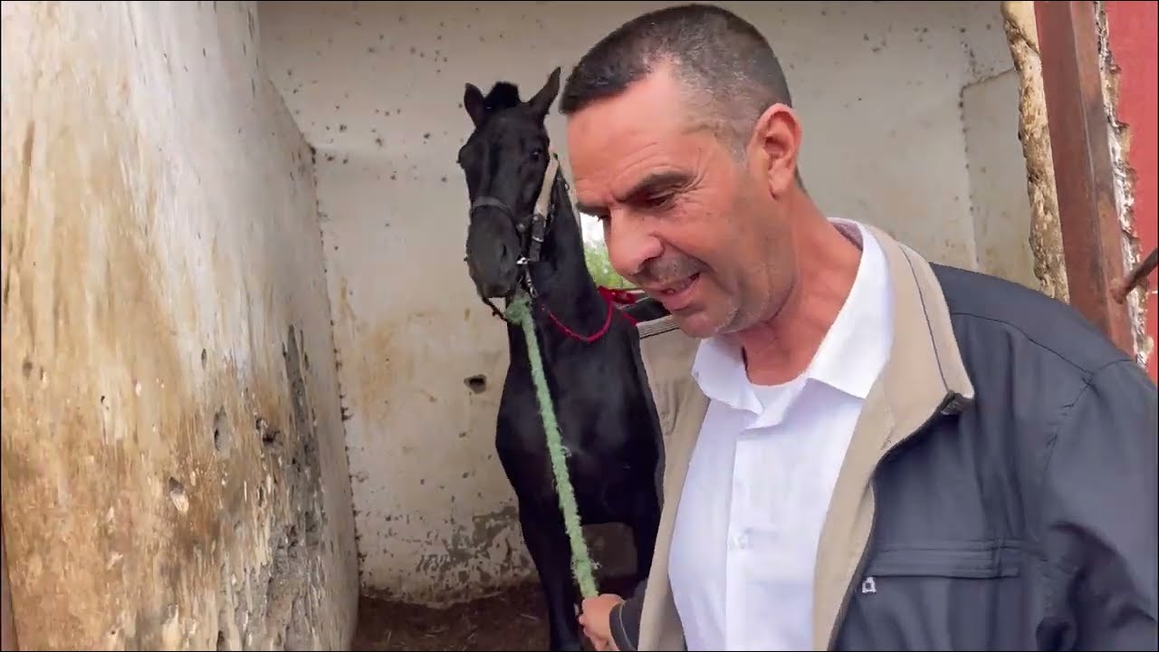 الله الله من اجمل الاسطبلات التي سبقنا زيرتها لي  المملكةالمغربية🇲🇦#للحاج الحسن الولادي🤲.