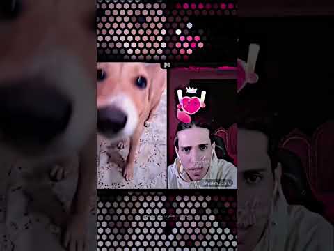 بث يضحك عقيل وصافي وبارق وسجاد سلمان بارق مسلم ابن عقيل لايك اشتراك بالقناه ليصلك كل جديد