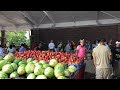 The Historic Downtown Winter Garden Farmer's Market every Saturday