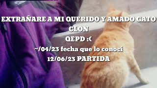 ADIOS MI AMADO GATO CLON :'(