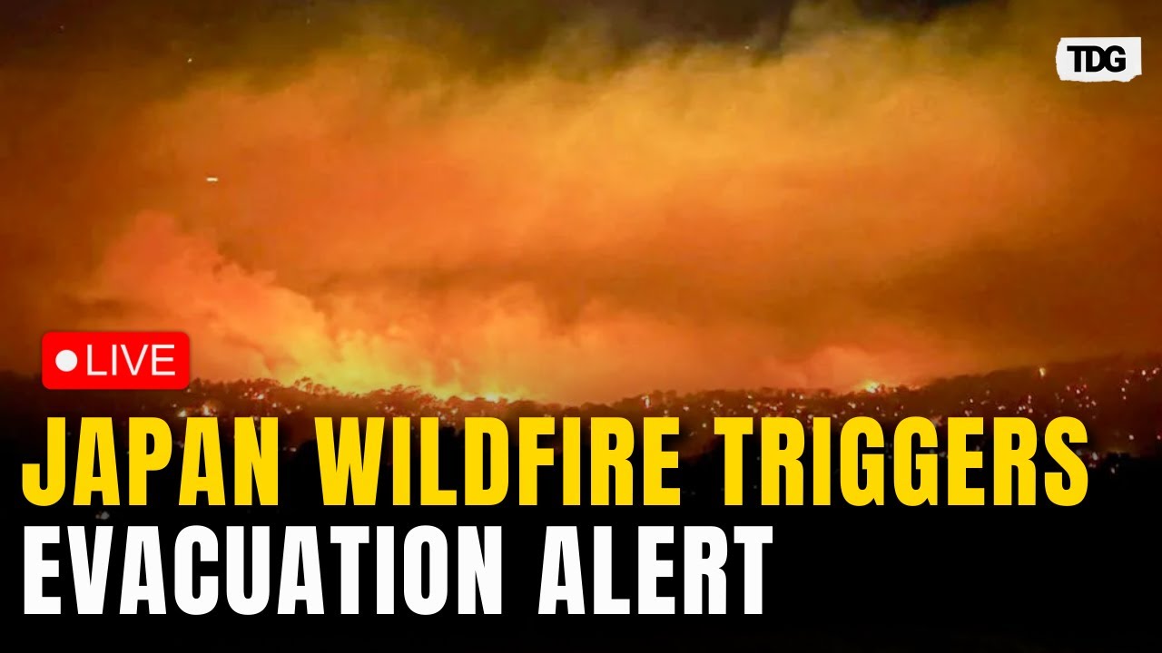 Japan Wildfire LIVE: Residents Urged To Evacuate In Central Japan Wildfire Emergency Now