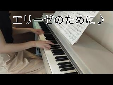 エリーゼのために　独学　大人ピアノ　再開　初心者　ゆっくりめ　ベートーベン
