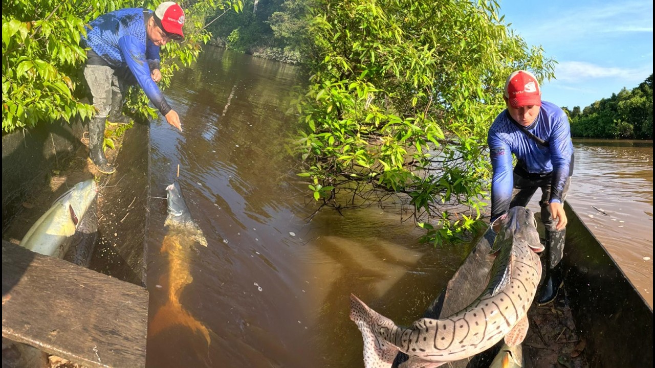 Fishing Friends Chapter 103: We weren't prepared for the fish that came out of this river!