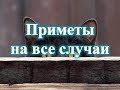 Приметы на все случаи