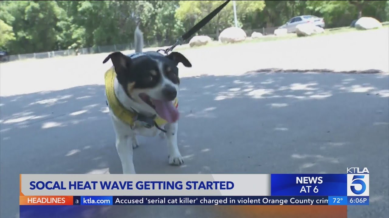Heat wave hits Southern California - YouTube