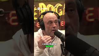 The Harsh Truth About Life Behind Bars #joerogan