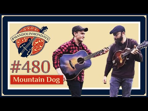 Mandolin Mondays Featuring Mountain Dog /// "Old Christmas" and "Green River Ramble"