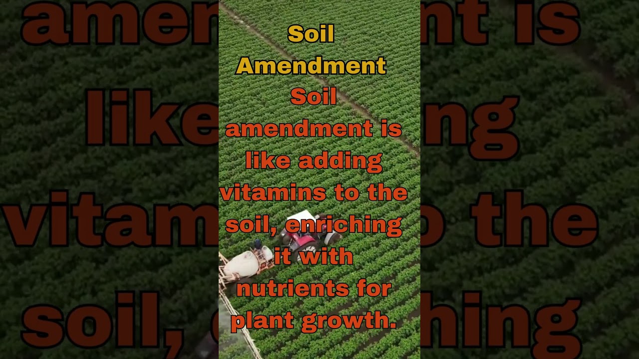 Soil Amendment 