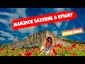 Белая скала - Маковое БЕЗУМИЕ! Что посетить на отдыхе в Крыму 2021