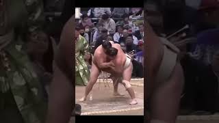 Ryuden VS Hitoshi Haru Basho 2026 Sumo #japan #sport #сумо #япония #mma #ufc #sumo #wwe #борьба