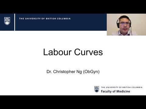 Week 16 - Labour Curves