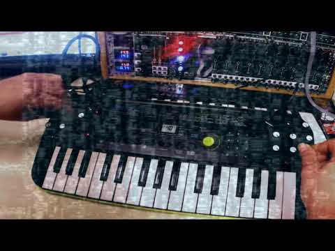 X1L3 - circuit bent casio SA-46 - power electronics and harsh noise -  YouTube