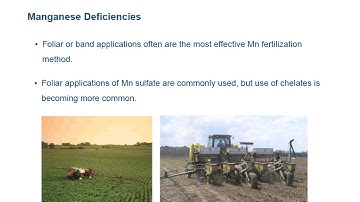 NRCS / 4R, Module 5: Micronutrient Management