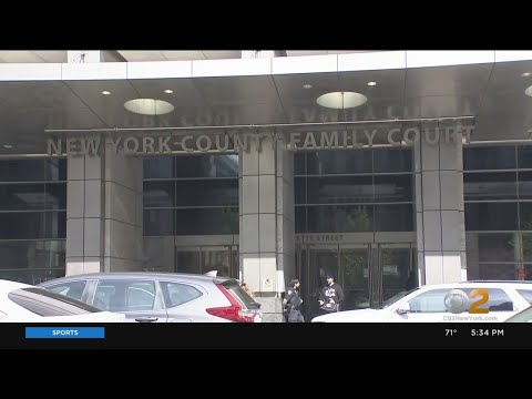 Ny Ecourts Family