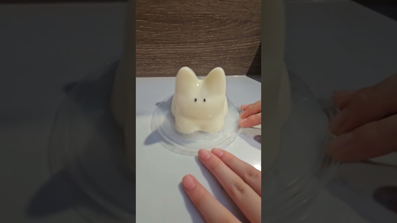 Dancing Viral Cat Pudding 