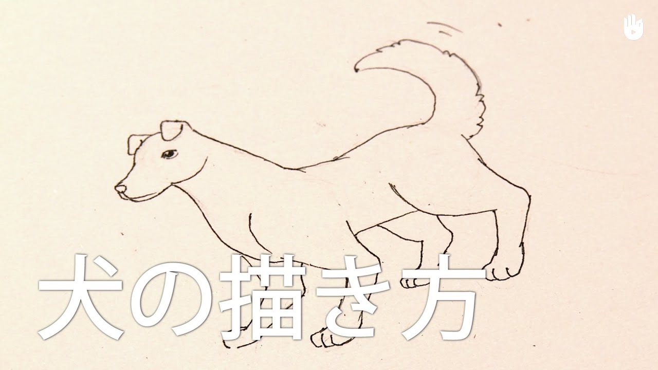 犬の描き方 Youtube