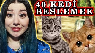 Download lagu 40 SOKAK KEDİSİ BESLEMEK elifyapamaz 40 SOKAK KEDİSİ BESLEMEK elifyapamaz