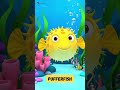Puffy's ABCs | 'P' for Pufferfish | Alphabet Adventure for Toddlers | #abcd #kids#viralvideo#shorts