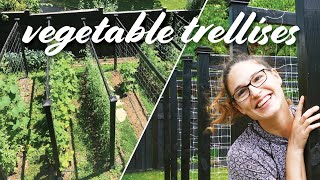 My Garden Trellis for Vegetables | DIY Design for Cucumbers, Tomatoes & Beans by ReSprout 41,882 views 1 year ago 13 minutes, 37 seconds