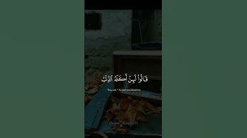 #القرانالكريم #reels #quran #fypシ #قرآن #قراءة_خاشعة #تلاوات #راحة_نفسية #القدس #فلسطين #غزة