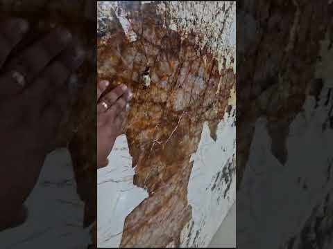Fox Marble Consulting • Patagonia Gold