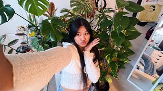 How I Went From Plant Killer To Plant Mother