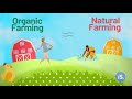 Explained what is natural farming  chemicalfree natural farming  indiaspend