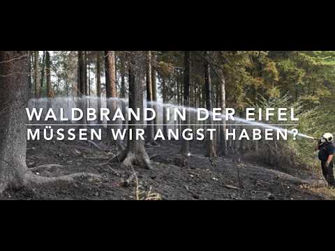 NRW's Biggest Forest Fire Ever - Quick Forest Facts