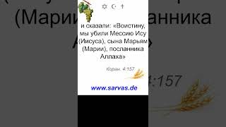 11.8.2025. Библия и Коран  #коран #инджил #тора  #машиах #восхищение #храм #скорбь  #ислам #заповеди