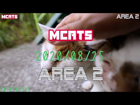 【AREA 2】はなお、ミクﾀﾝ、ボチュ | Hanao, Mikutan and Bochu【25th Aug. 2020】