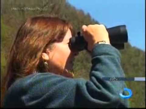 ტყეების ეკოლოგიურ მდგომარეობას აჭარაში ამერიკელი სპცეციალისტები სწავლობენ