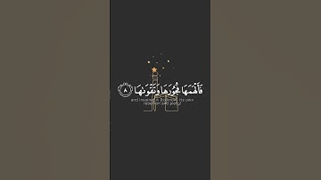 #قرآن #قران_كريم #تلاوات #تلاوات_خاشعة #تلاوة_هادئة