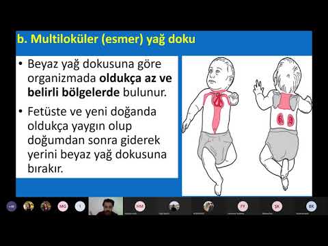 Video: Un şekerlemeleri. Şekerleme hazırlama teknolojisi