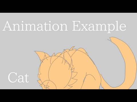 New Animation Example ️ Cat 🐈 - YouTube