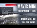 DJI Mavic Mini High Wind Test!