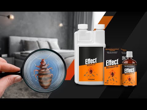 Wideo: Spray Do Karaluchów: Najlepszy Bezwonny Aerozol, Najskuteczniejsze Produkty, „Clean House” I Inne Spraye, Instrukcje Użytkowania