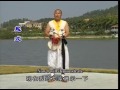 Shaolin kung fu chain whip