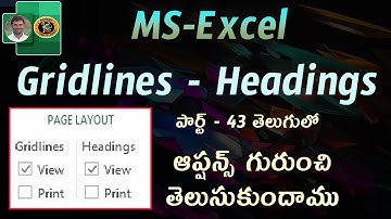 Gridlines & Headings Options in Telugu || MS EXCEL || By K. Ramesh