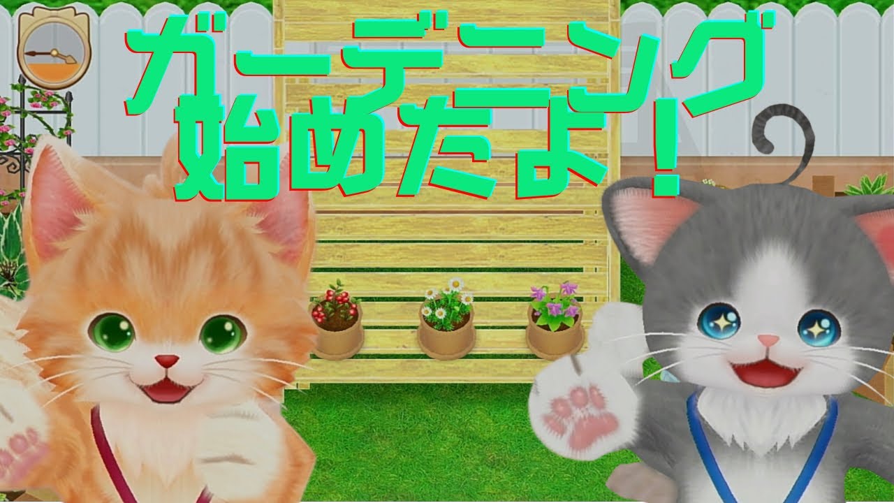 Nekotomo] I started gardening with my cat! I wonder what kind of