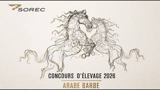 CONCOURS D'ELVAGE DES CHEVAUX ARABE-BARBE 2026.