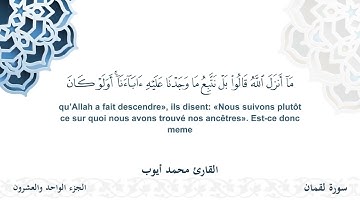 سورة لقمان - القارئ محمد أيوب | مشروع #100ختمة