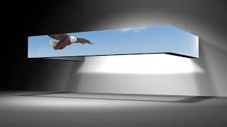Eagle Flying 3D Animation - Custom Content 9K LED Video Wall Display